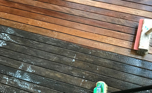 Treatment of Mould and Moss
